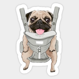 Baby Pug Sticker